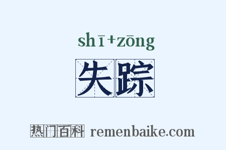 失踪是什么意思的图片